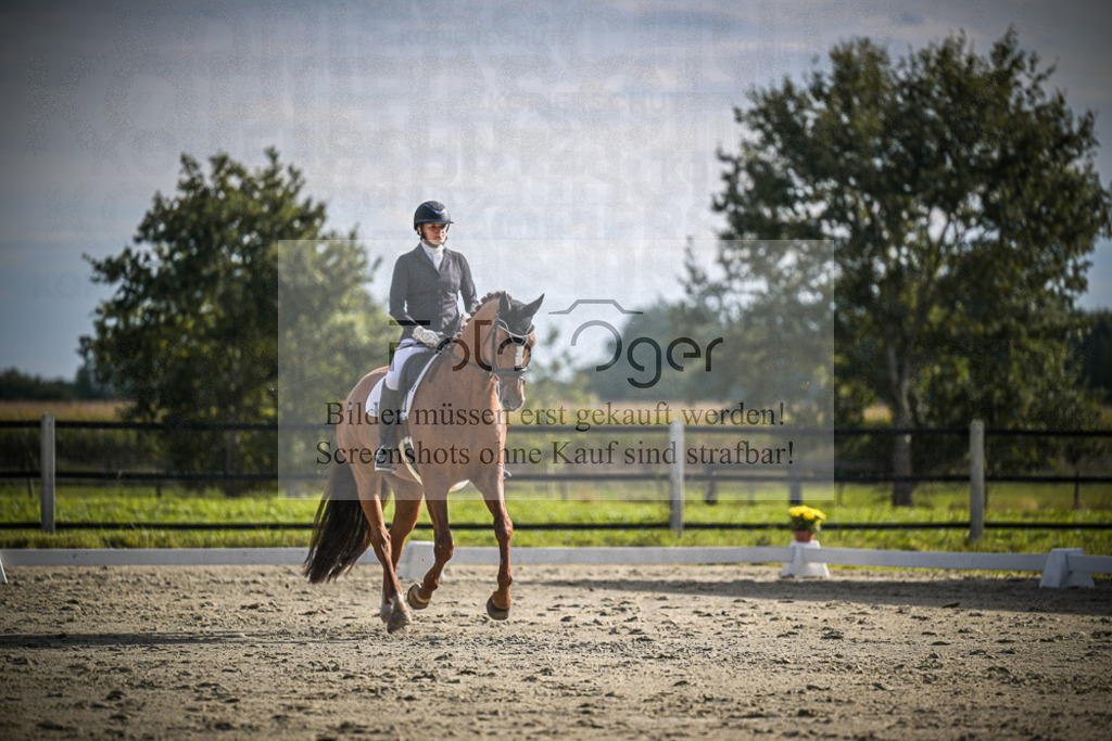 DOS_0914 | Entdecke hochwertige Reitturnierfotos von Foto Oger. Professionell, emotional und authentisch – jetzt Lieblingsmomente im Shop bestellen.Deutschlandweite Turnierfotografie. - Realisiert mit Pictrs.com