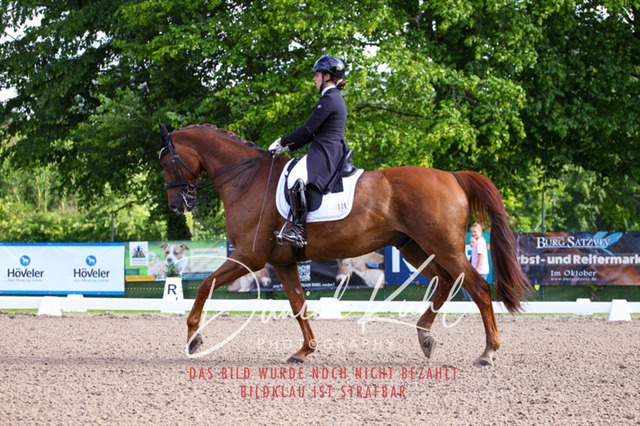 DKP41585 | Deine Turnierfotos vom Reitturnier online kaufen: Dressur, Springen & Siegerehrung. Professionelle Pferdefotografie aus dem Rheinland – als Download & Print.Alternative: Turnierfotograf für den Pferdesport: Finde deine Fotos von Dressur- und Springturnier