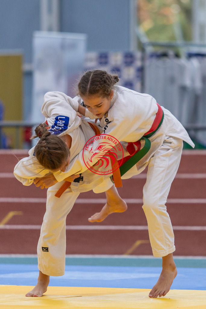 Internationaler Adler Cup 2024 | Foto vom Internationalen Adler Cup Judo Turnier im Sport- und Freizeitzentrum Kalbach im Oktober 2024 - Realisiert mit Pictrs.com