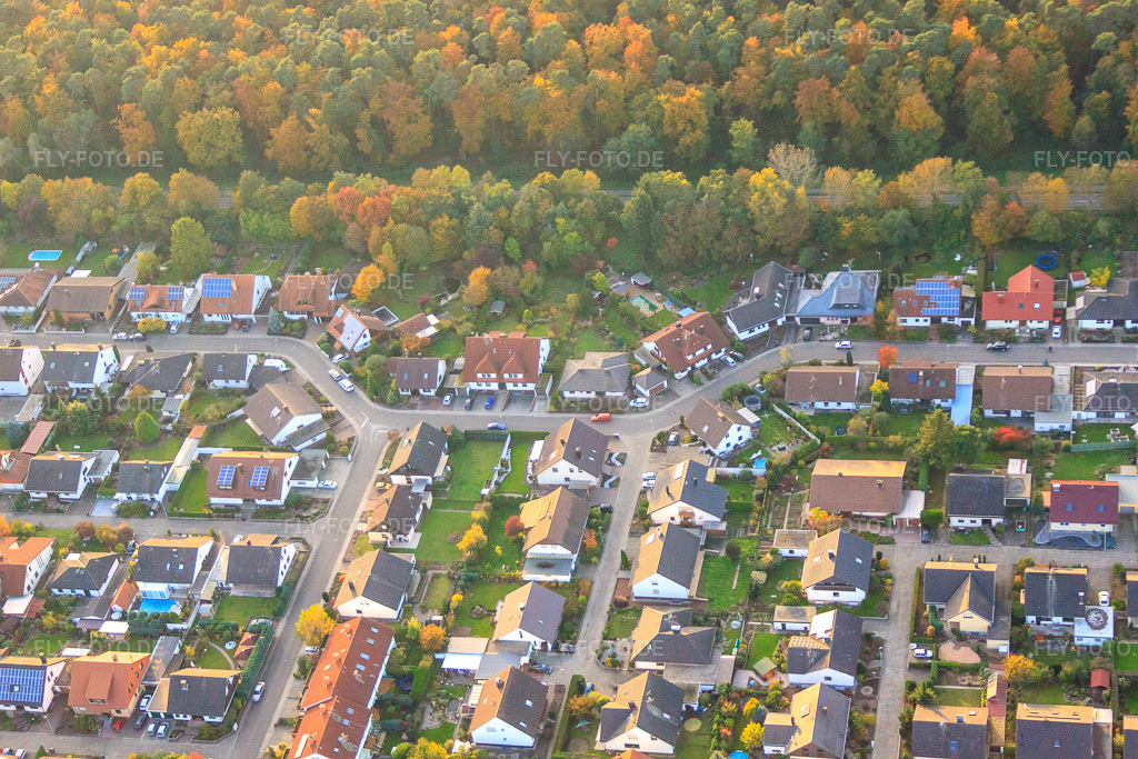 Luftbild: Südring x Pfarrer-Löser-Straße in Rülzheim im Bundesland Rheinland-Pfalz in Deutschland. Foto: IMG_60335.jpg vom 22.10.2013 durch Werner Riehm/FLY-FOTO.de