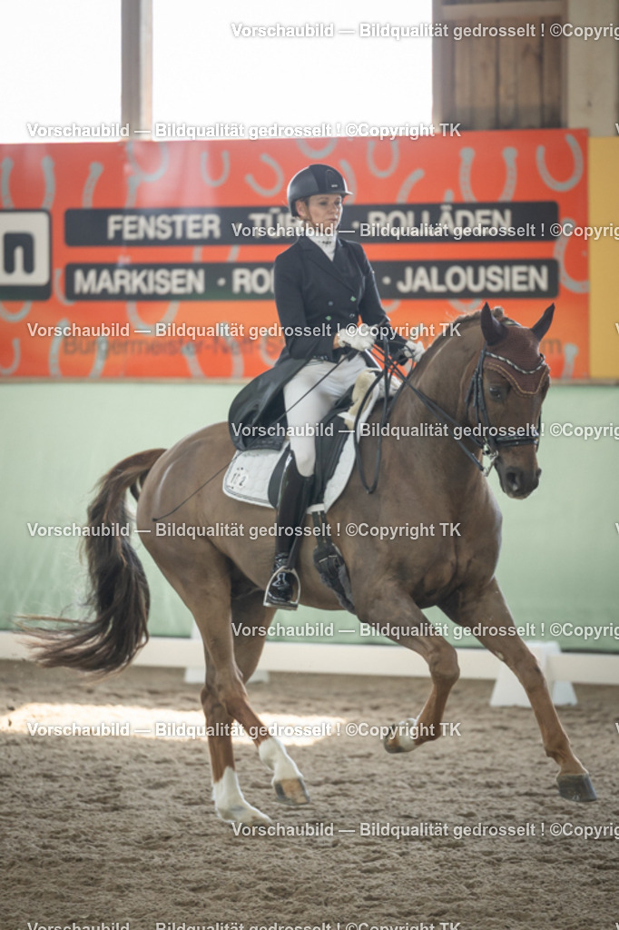 _D5A1286 | Emotionale Pferde- & People-Fotografie rund um Heidelberg, Leimen & Umgebung. Natürliche Fotos von Pferd, Mensch & Familie. Jetzt Termin sichern!