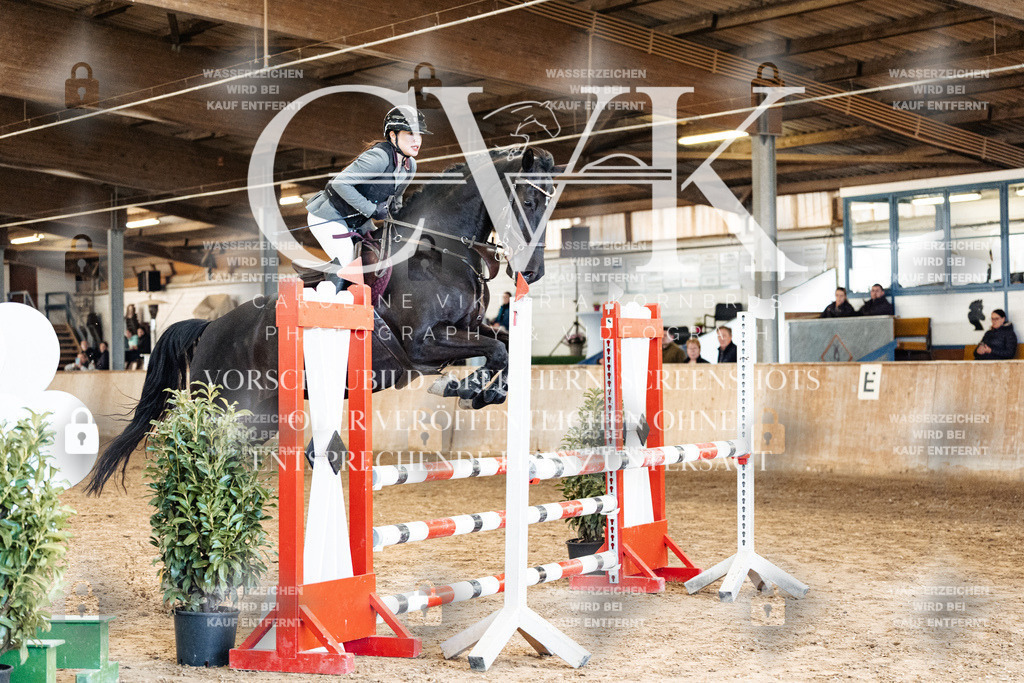 CK904923 | Turnierfotografie Pferdefotografie Trier Rheinland-Pfalz Pferdesport Reitsport Tierfotografie Sportfotografie Pferdevideo Pferdevideografie Equestrianvideography equestrianphotography  - Realisiert mit Pictrs.com