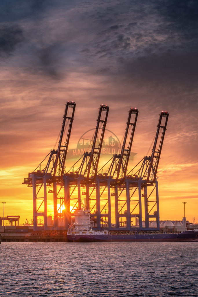 Hafenkräne Sunset Steinwerder | Exklusive Hamburg collagen, tolle Segelbilder und viele weitere tolle Motive auf Leinwand, Poster, Alu-Dibond, u.v.m. findet Ihr bei uns auf hamburgbild.de. Findet Euer Wandbild für Euer Zuhause, Büro oder die  Praxis…. - Realisiert mit Pictrs.com