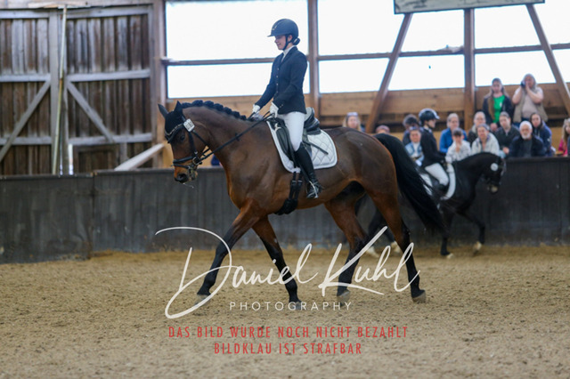 IMG_0396 | Turniersportfotografie; Pferdefotografie; Dressurfotografie