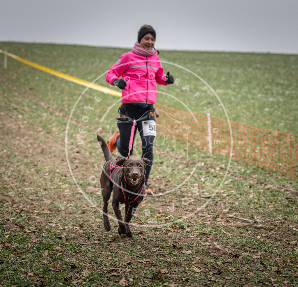 Pfotenfotografie_DV3A1864 | Hundefotografie, Tierfotograf, Pfotenfotografie, Fotoshooting Hund, Hunde Portrait, Hundesport, Hundeportraits, Heideshooting, Hunde, Sportfotograf, Hundefotograf, Turnierhundsport, THS,  - Realisiert mit Pictrs.com