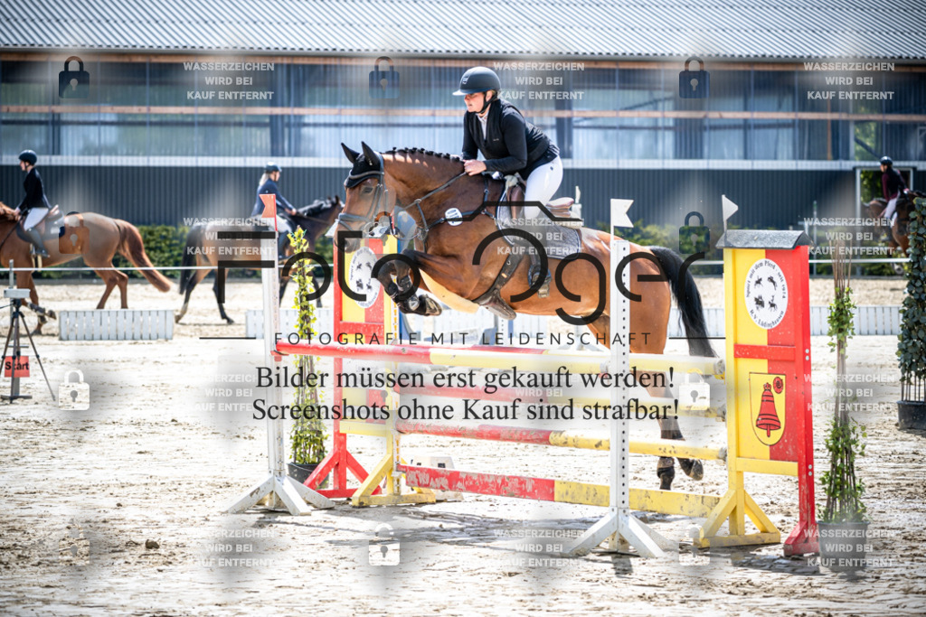 DOS_1176 | Reitturnier Lüdinghausen - Realisiert mit Pictrs.com