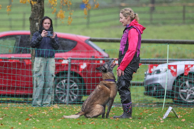 2025_Rally_Obedience_SM-198 | Ich fotografiere Hundeausstellungen, Sportanlässe, Zuchtstätten, Hundezucht, Hundeportrait, Lagotto - Realisiert mit Pictrs.com