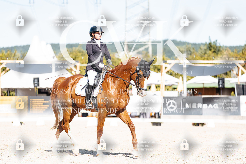 CK908837 | Turnierfotografie Pferdefotografie Trier Rheinland-Pfalz Pferdesport Reitsport Tierfotografie Sportfotografie Pferdevideo Pferdevideografie Equestrianvideography equestrianphotography  - Realisiert mit Pictrs.com