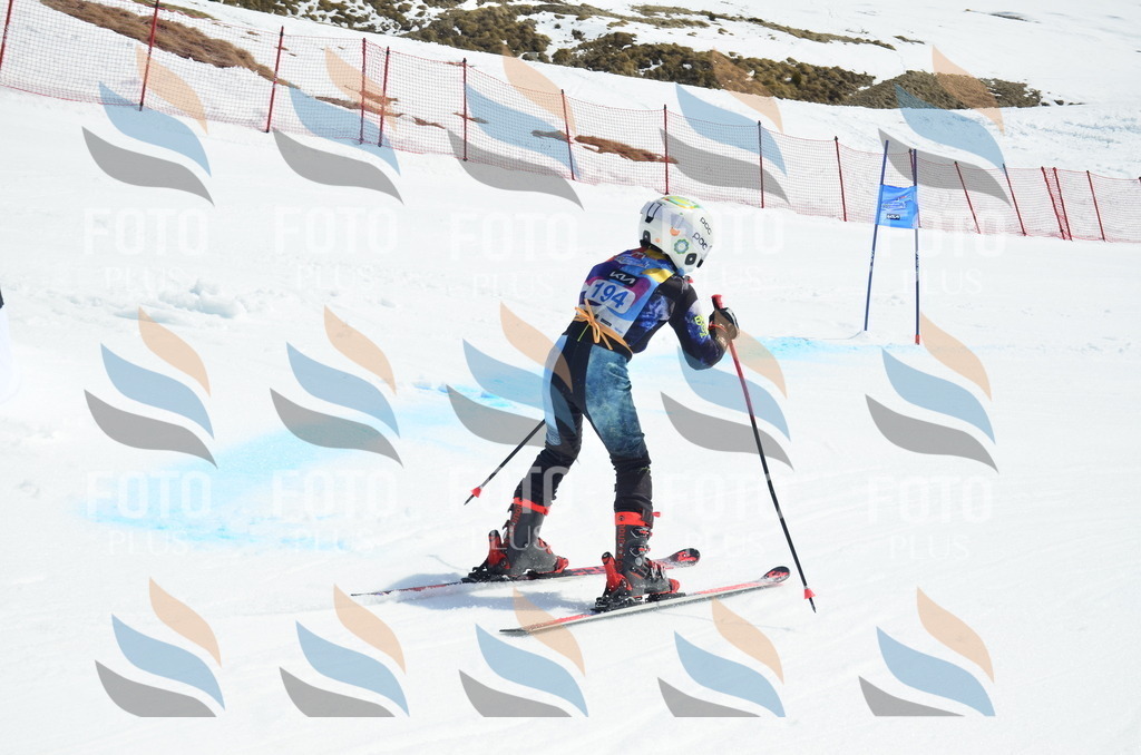 _ELE1326 | holidayphoto