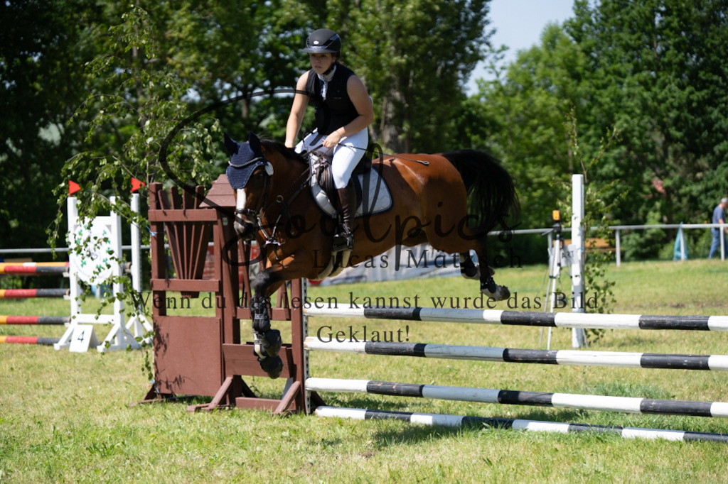 A7V05845 | Pferdefotograf