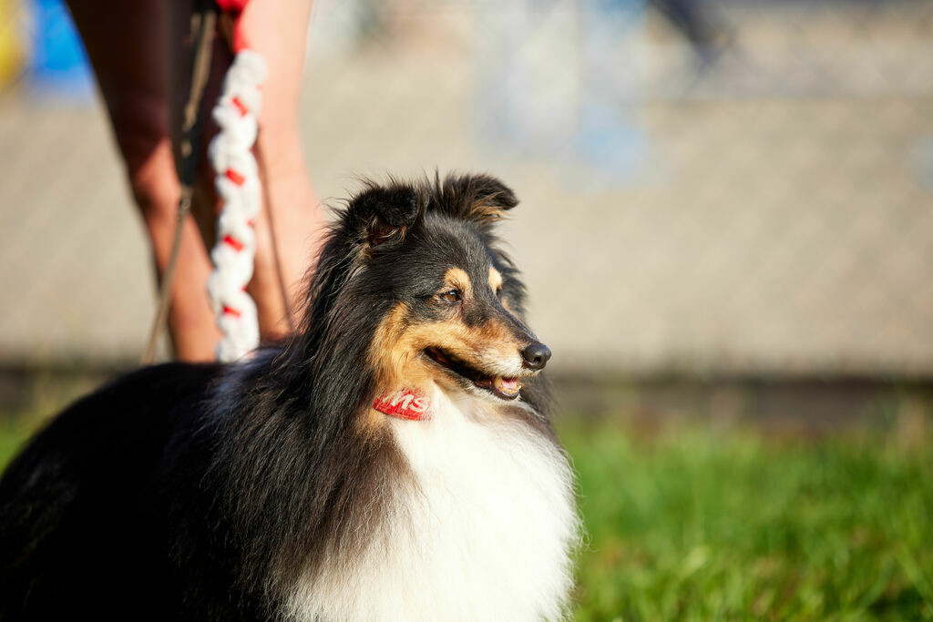 580A0020 | Peter Fridle Fotografie - Realisiert mit Pictrs.com