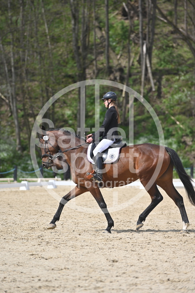 DSC_3380 | sattelsport - Realisiert mit Pictrs.com