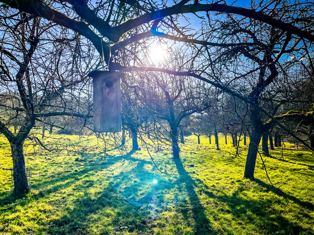 Lichterwald - Ortenberg | Medienmanufaktur - Realisiert mit Pictrs.com