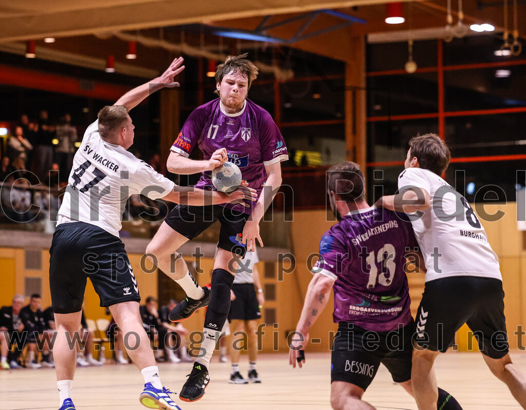 2025-02-15_090_SpVgg_Altenerding_gegen_SVW_Burghausen | Erding, Deutschland, 15.02.2025:Handball, Bezirksoberliga Männer 2024 / 2025, 16. Spieltag, SpVgg Altenerding gegen SVW Burghausen, Endergebnis: 32:31Christian Schreyer (SVW Burghausen, #47), Niklas Fleps (SpVgg Altenerding, #17), Sebastian Forster (SpVgg Altenerding, #13), Michael Kalchauer (SVW Burghausen, #8)Foto: Christian Riedel / fotografie-riedel.net