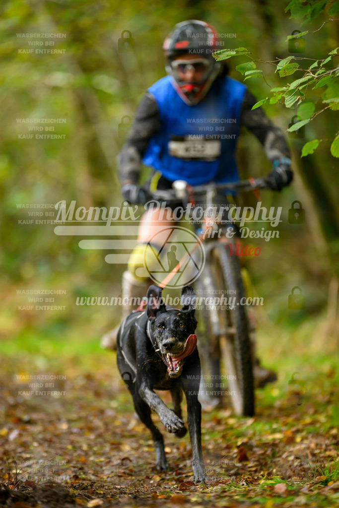 MompixPhotography_20TSB_E1_Bike-65 | PayLife