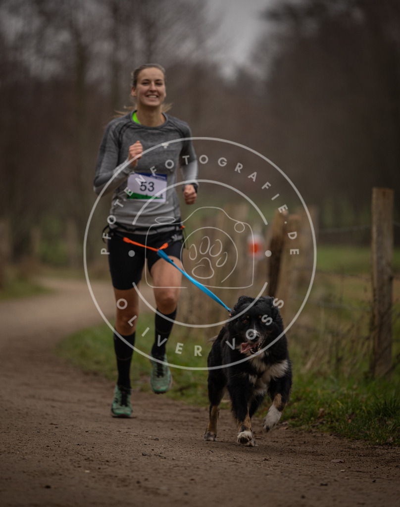 Pfotenfotografie_DV3A2933 | Hundefotografie, Tierfotograf, Pfotenfotografie, Fotoshooting Hund, Hunde Portrait, Hundesport, Hundeportraits, Heideshooting, Hunde, Sportfotograf, Hundefotograf, Turnierhundsport, THS,  - Realisiert mit Pictrs.com