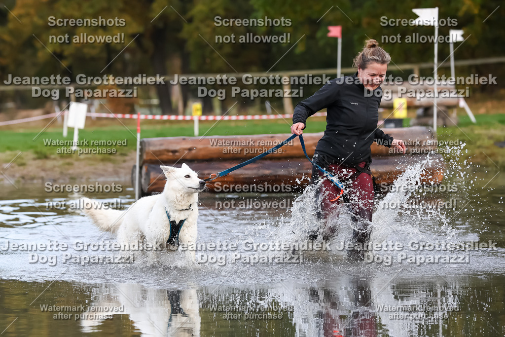 Dog Paparazzi - Strongdog 10-25-6644 | Dog Paparazzi Jeanette Grottendiek Fotografie & Videografie - Realisiert mit Pictrs.com