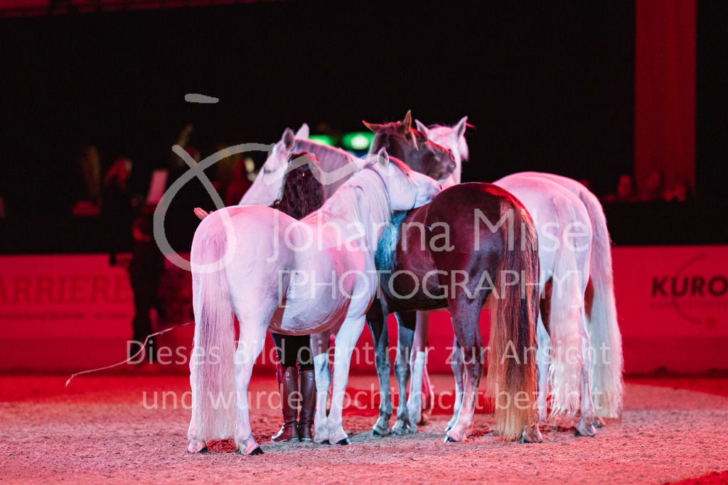 241102_Oldenburg_Show-329 | Deine schönsten Turniermomente als professionelle Fotos! Entdecke hochwertige Pferdesport-Fotografie im Online-Shop. Jetzt Fotos finden & bestellen!
