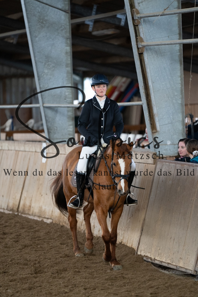 A7V05007 | Pferdefotograf