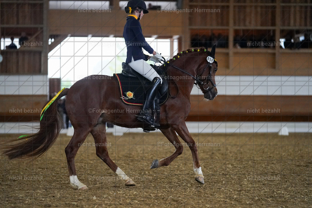 20240825-FAH08950 | Turnierbilder, Reitsportfotos, LAPO, Landesponyturnier, Turnierfotografen Bayern