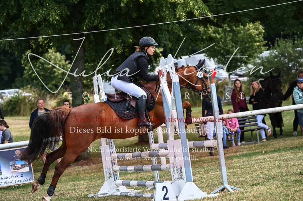 DSC_8193 | Pferde- und Turnierfotografie in Westsachsen. Pferdeportraits, Auftragszeichnungen und intuitive Kunst.