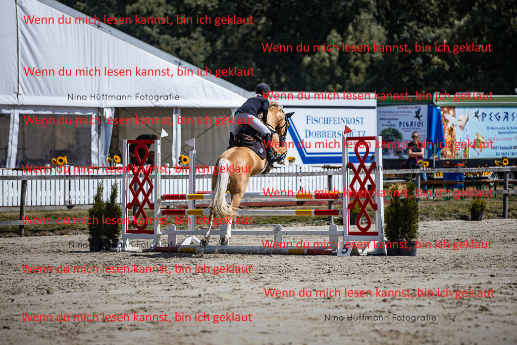 BK1A5183 | Turnierbilder Turnierfotos Nina Hüffmann Turnierfotografie Pferdefotografie Tierzeichnung Haustierzeichnung Pferdezeichnung Hundezeichnung Videograf  - Realisiert mit Pictrs.com