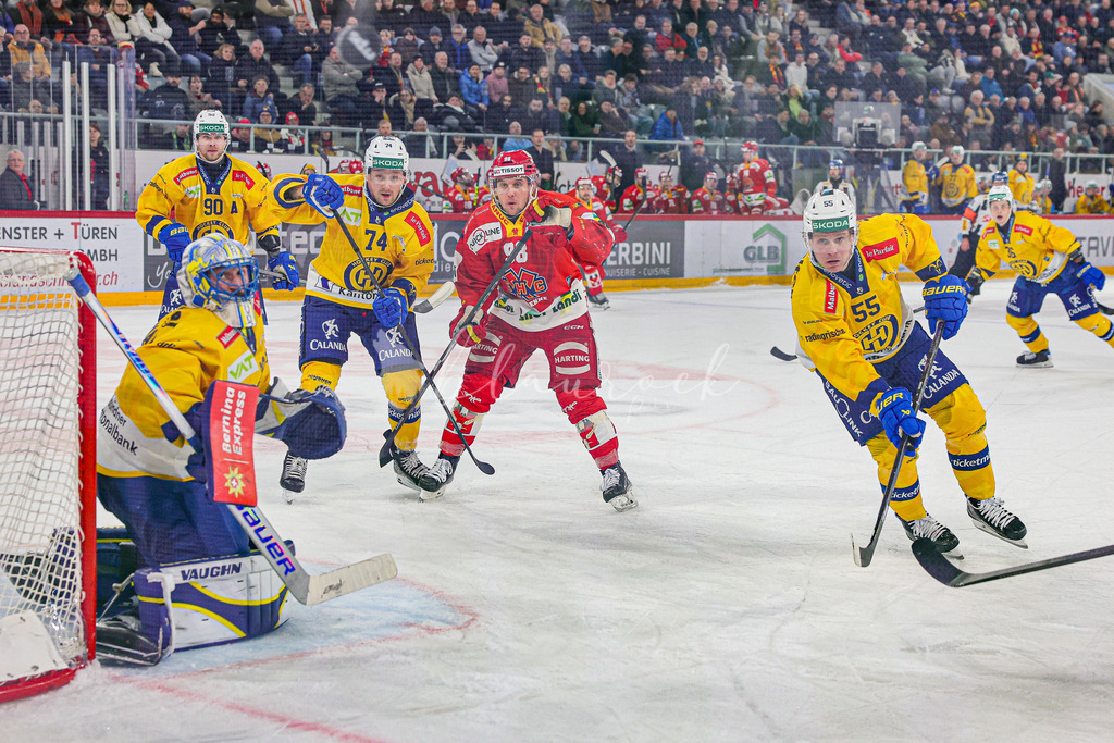 EHCB vs HCD 20260106_wb-0216 | Sportbilder, Sportfotograf, Hochzeits- und Eventfotografin, Flugshows, Portraits und Tiershooting, Aviation, Downhill, Nationalleague, Swissleague, International