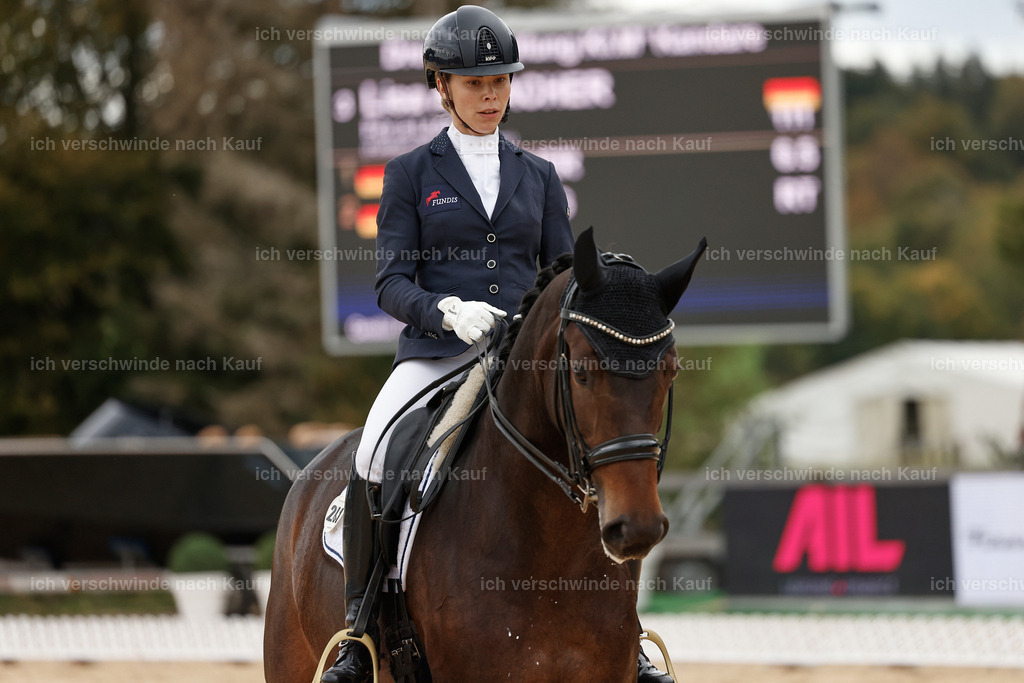 3-241-Dressur M_-StoibPH-2323 | working equitationturnier fotograf videograf stoibphotography marixx film working equitation deutschland reitsport turnierfotografie eventfotografie equestrian events