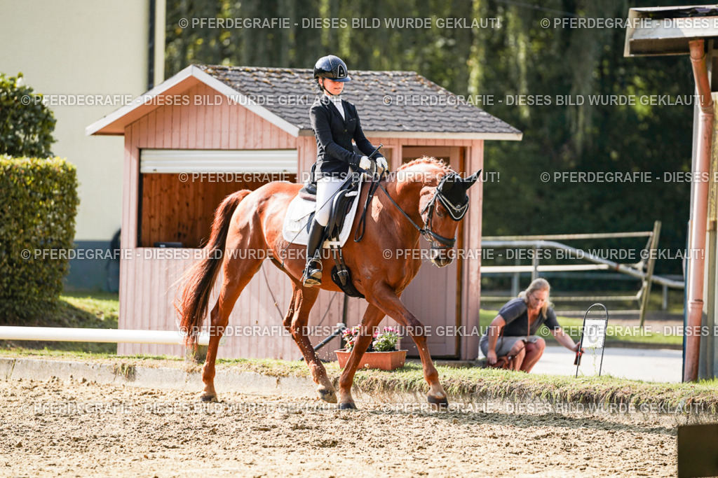 DSC08449 | Pferdegrafie