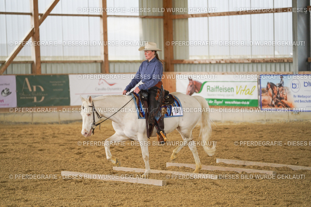 DSC04454 | Pferdegrafie