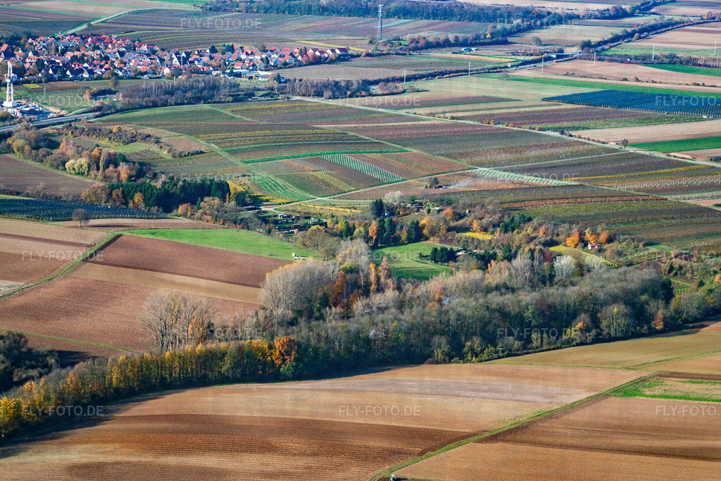 ASV Klares Wasser im Quodbachtal an der Fischerhütte | Luftbild: ASV Klares Wasser im Quodbachtal an der Fischerhütte in Insheim im Bundesland Rheinland-Pfalz in Deutschland. Foto: IMG_14505.jpg vom 08.11.2008 durch Werner Riehm/FLY-FOTO.de - Realisiert mit Pictrs.com