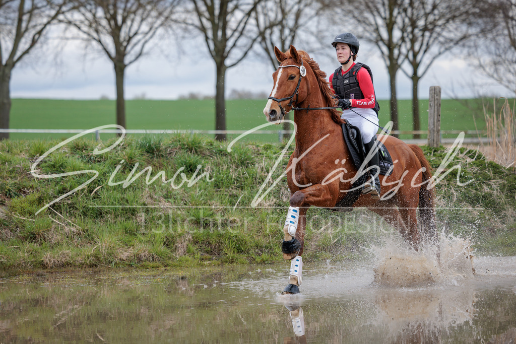 20260329-_3LI5811 | Tierfotografie Pferde, Hunde, Katzen, Haustiere.
Turnierfotografie Reitturniere, Reiten, Springreiten, Dressur in Hanau, dem Main-Kinzig-Kreis und dem Rhein-Main- Gebiet um Frankfurt