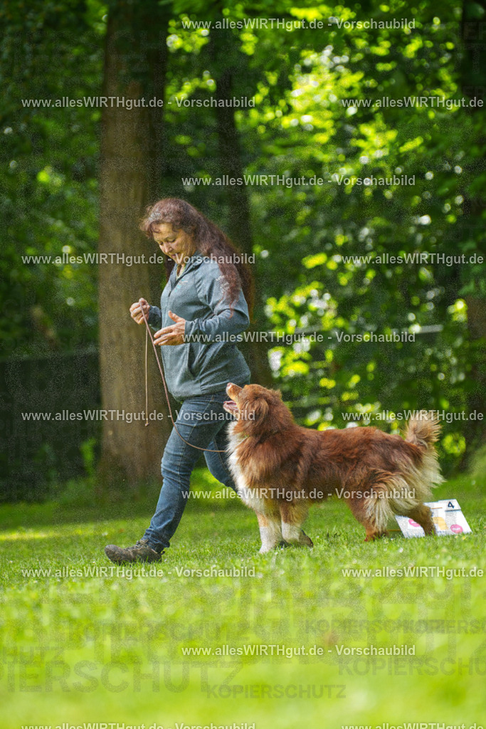 @allesWIRTHgut_Tierfotografie - www.allesWIRTHgut.de - 7R500783 | Professionelle Tierfotografie in Mönchengladbach von Daniel Wirth (allesWIRTHgut). Liebevolle & natürliche Bilder von Hunden & Katzen für unvergessliche Erinnerungen.
