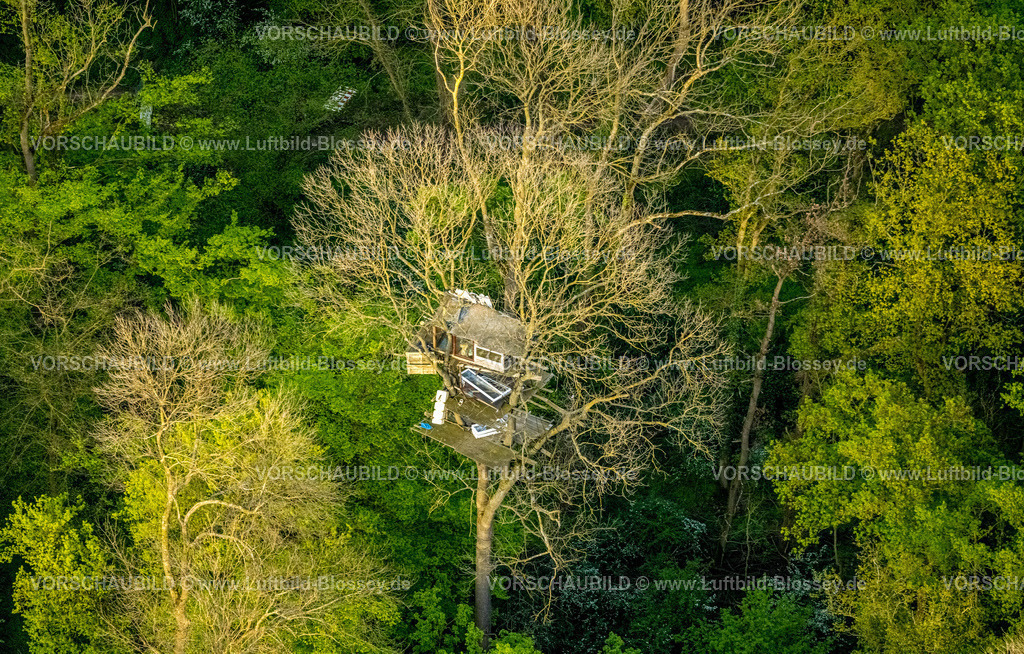 Kerpen240403788BraunkohleTagebauHambacherForst | Luftbild, Baumhaus als Protest zur Rettung vor Rodung im BraunkohleTagebau Hambacher Forst,  NSG Naturschutzgebiet Bürgewald Blatzheimer Bürge, Buir, Kerpen, Rheinland, Nordrhein-Westfalen, Deutschland