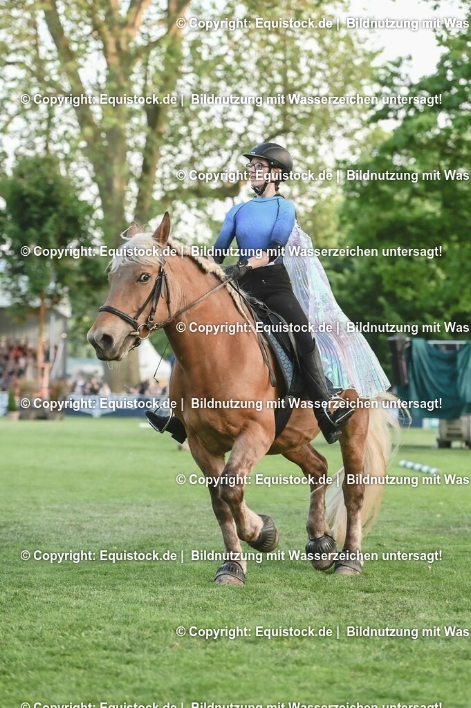 20230526_Pferdenacht_0477 | equistock