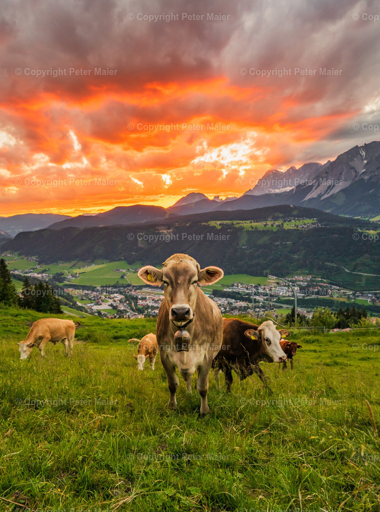 Landschaft Divers5 | piet_flosse