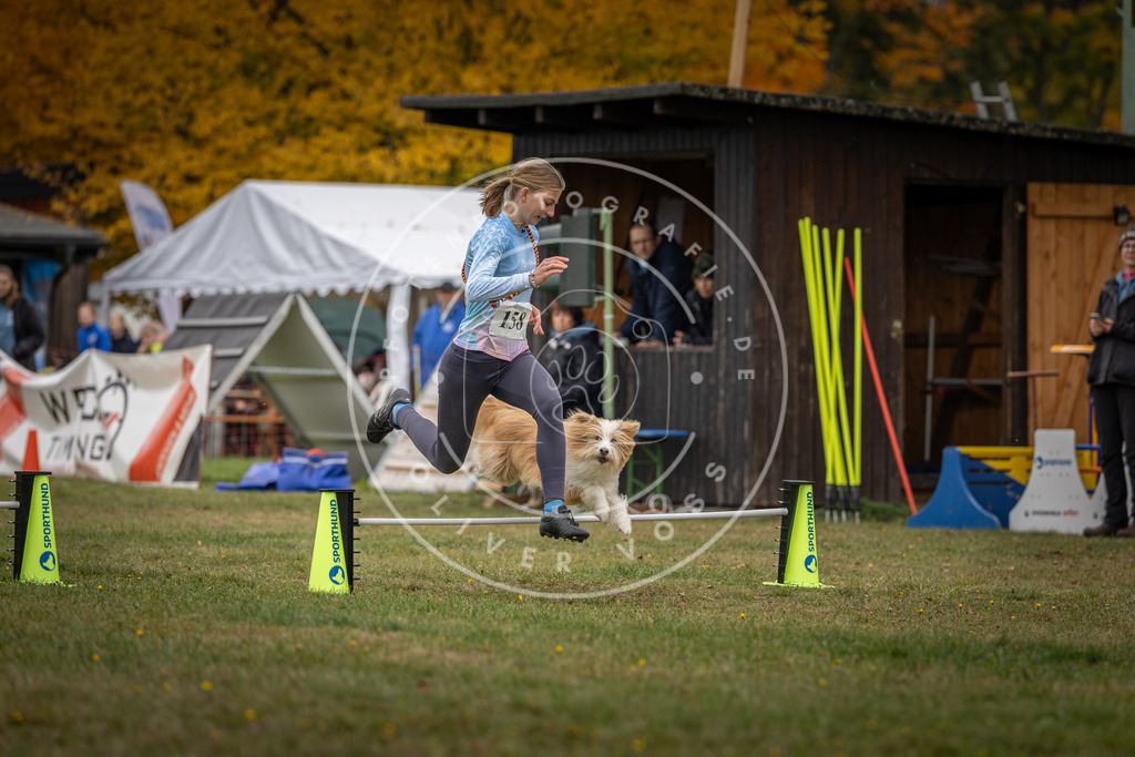 Pfotenfotografie_DV3A4913 | Hundefotografie, Tierfotograf, Pfotenfotografie, Fotoshooting Hund, Hunde Portrait, Hundesport, Hundeportraits, Heideshooting, Hunde, Sportfotograf, Hundefotograf, Turnierhundsport, THS,  - Realisiert mit Pictrs.com