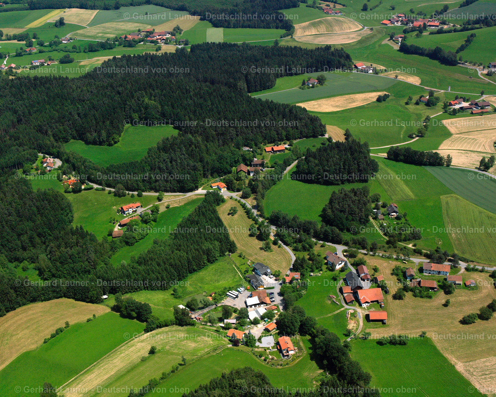 2519596 | Schwarzendachsberg, Haselbach