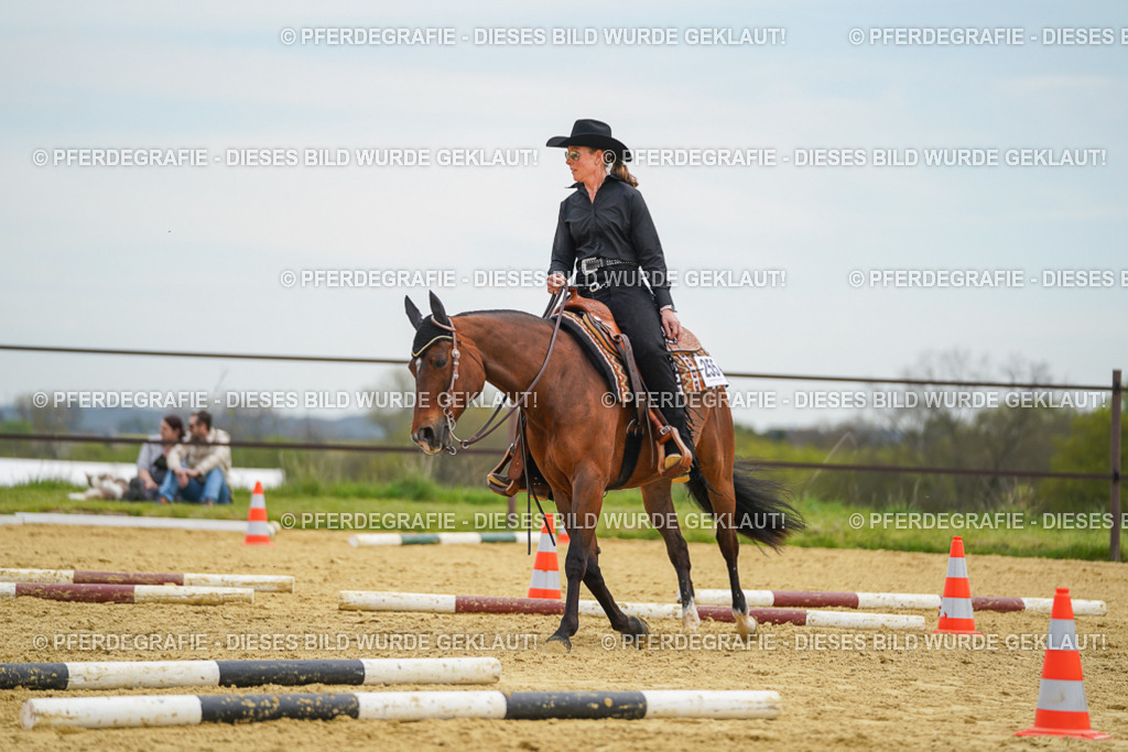 DSC03002 | Pferdegrafie