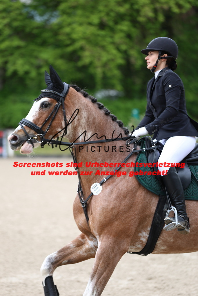 A40A1008 | lmwpictures - Realisiert mit Pictrs.com