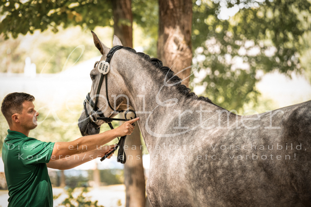 FrPfM00181 | Leoni Ertmer Photography - Realisiert mit Pictrs.com