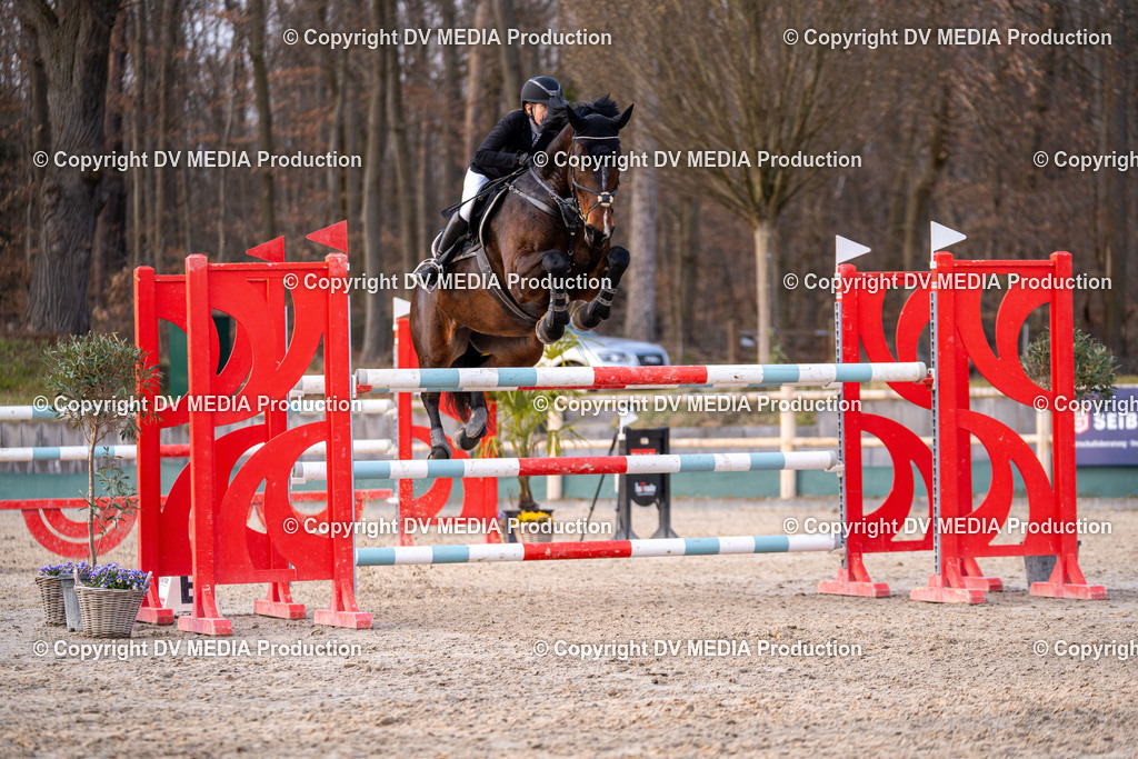 Kranichstein Tag 2-2402 | dv-media-shop - Realisiert mit Pictrs.com