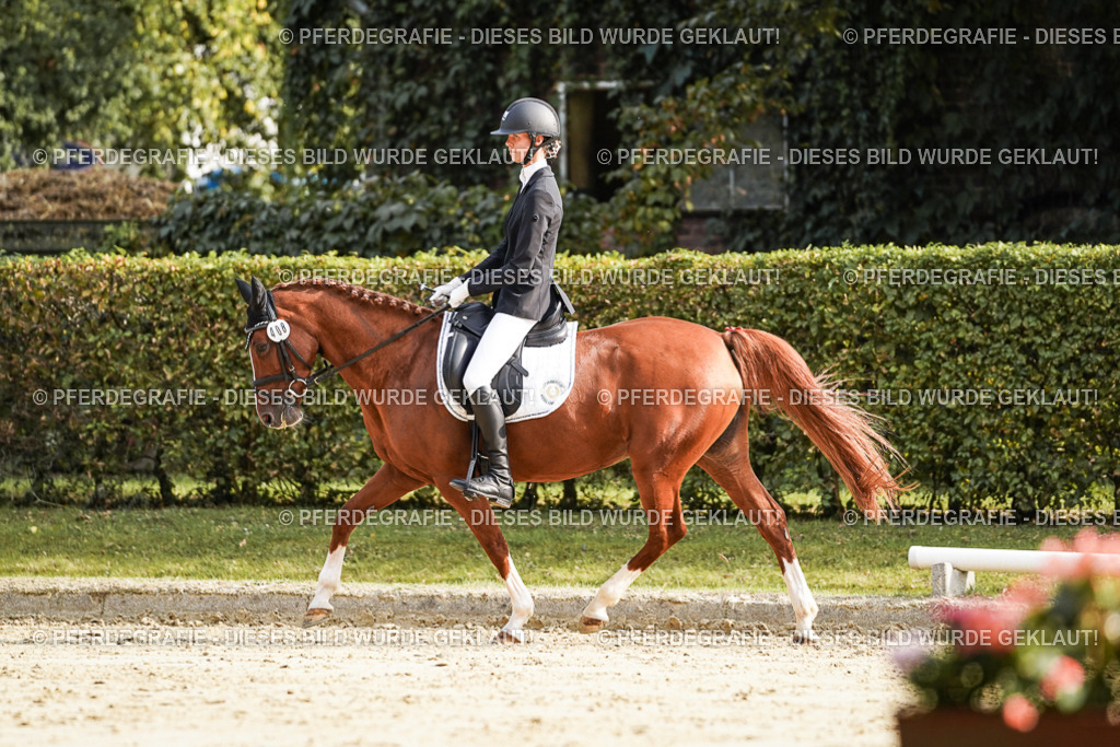 DSC05973 | Pferdegrafie