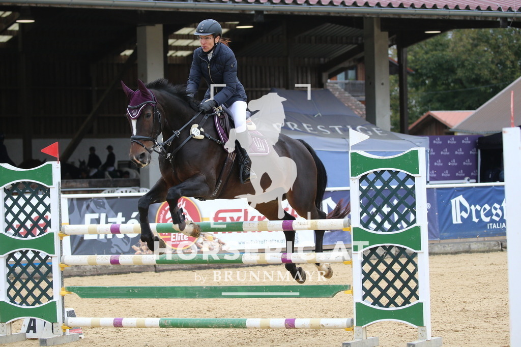 DL2Q1474 | Willkommen bei Brunnmayr - Design & Fotografie – Ihrem Spezialisten für Reitturniere und Pferdeveranstaltungen in Oberösterreich, Salzburg und Bayern! Seit über 17 Jahren sind wir leidenschaftlich dabei.