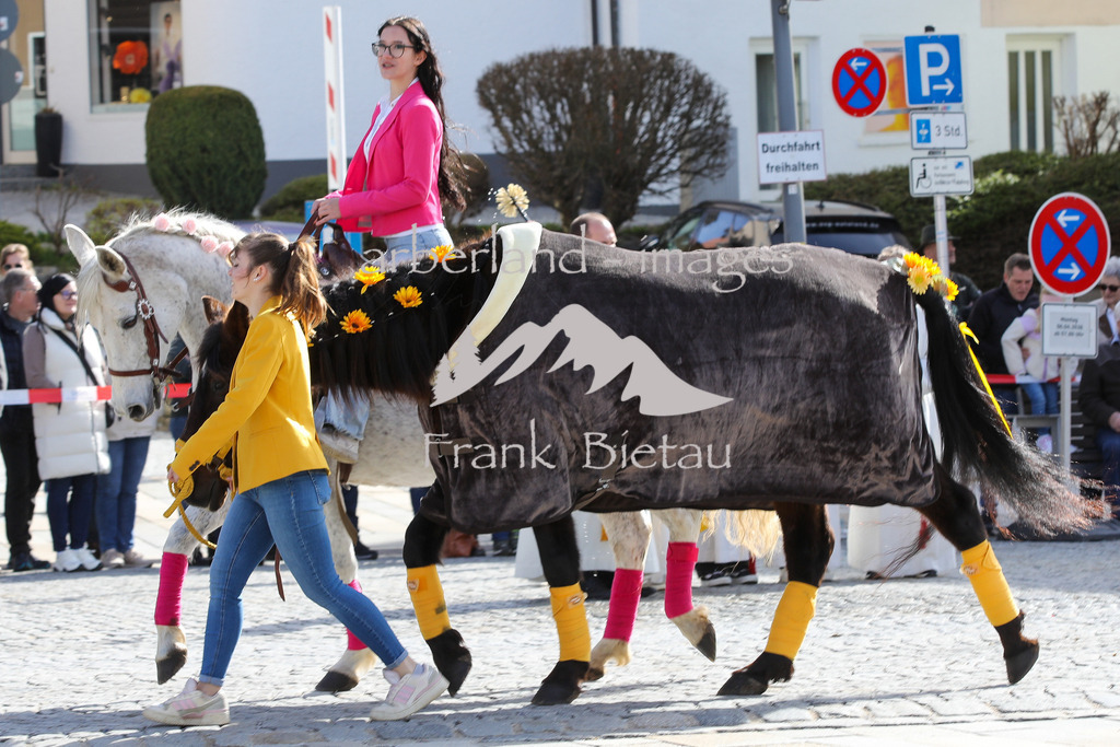 OE7A5627 | Medien- Sport- Entertainmentfotos