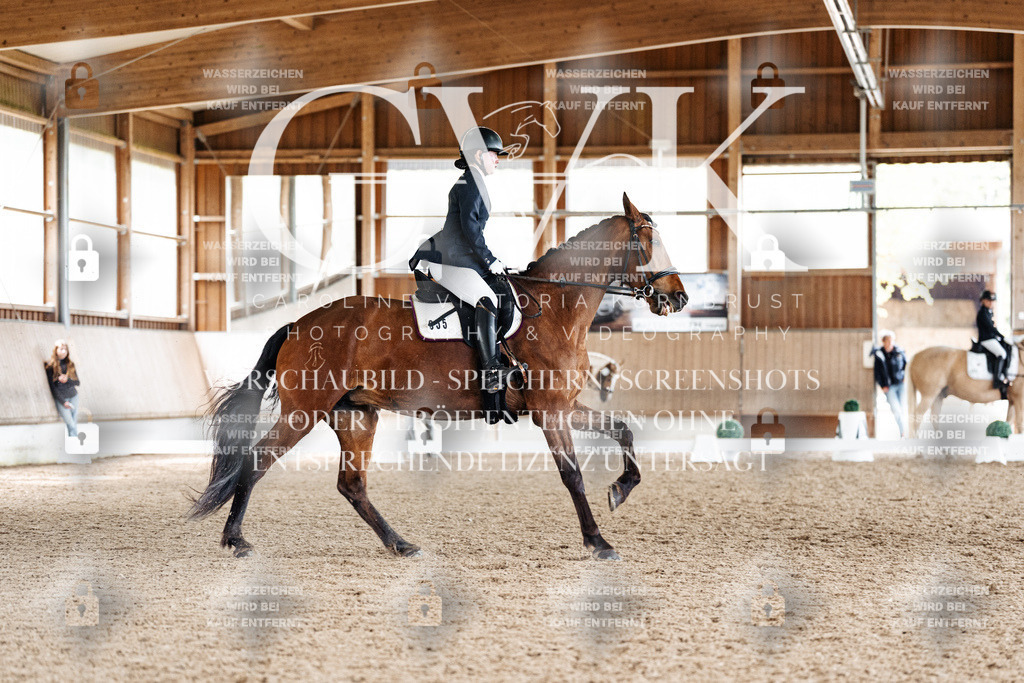 CK900424 | Turnierfotografie Pferdefotografie Trier Rheinland-Pfalz Pferdesport Reitsport Tierfotografie Sportfotografie Pferdevideo Pferdevideografie Equestrianvideography equestrianphotography  - Realisiert mit Pictrs.com