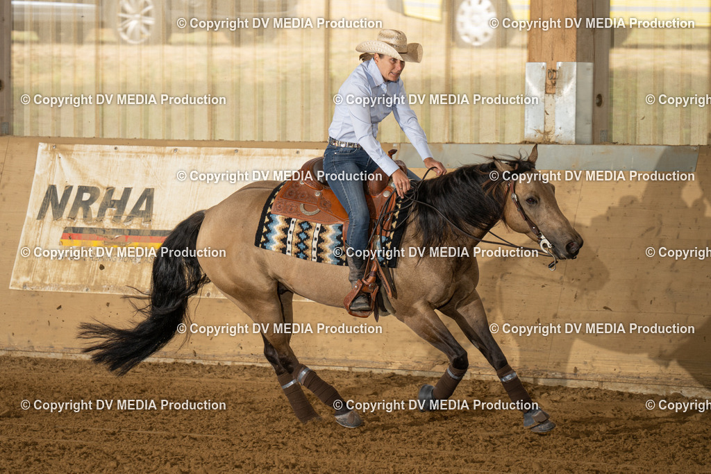 LAU01473 | dv-media-shop - Realisiert mit Pictrs.com