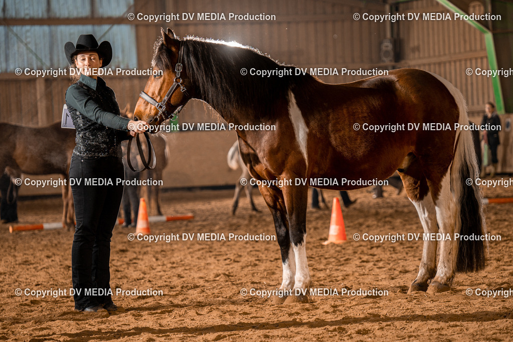 BAL01236 | dv-media-shop - Realisiert mit Pictrs.com