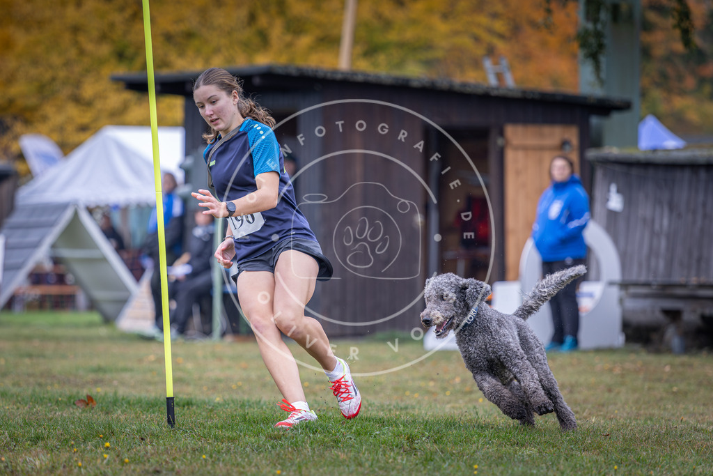Pfotenfotografie_DV3A0735 | Hundefotografie, Tierfotograf, Pfotenfotografie, Fotoshooting Hund, Hunde Portrait, Hundesport, Hundeportraits, Heideshooting, Hunde, Sportfotograf, Hundefotograf, Turnierhundsport, THS,  - Realisiert mit Pictrs.com
