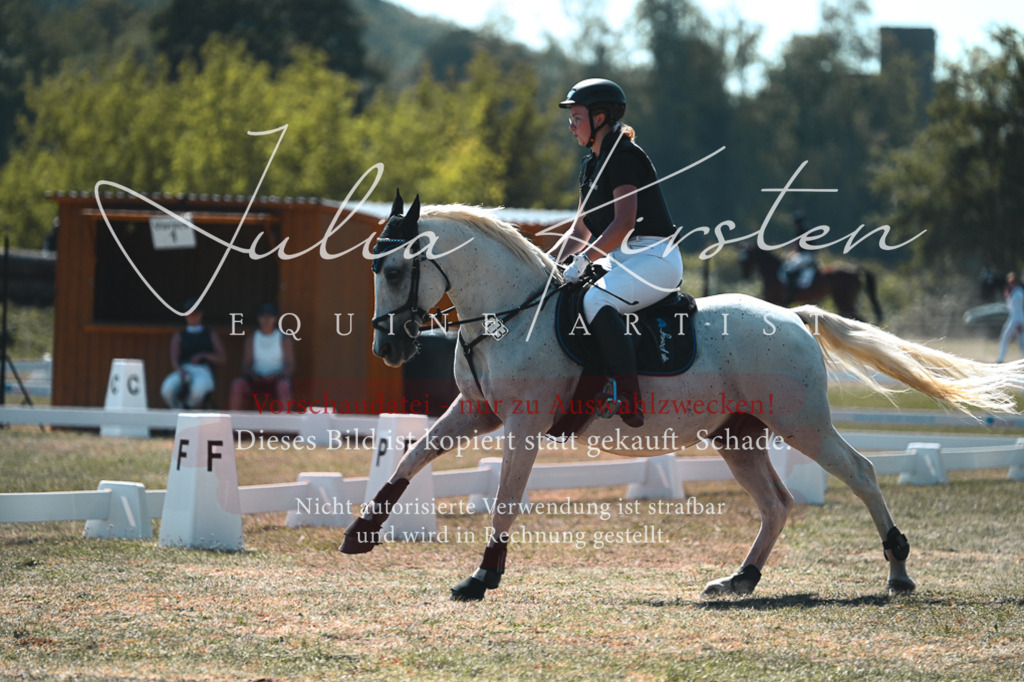 DSC_8313 | Pferde- und Turnierfotografie in Westsachsen. Pferdeportraits, Auftragszeichnungen und intuitive Kunst.